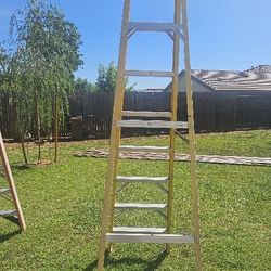 7ft Werner Ladder