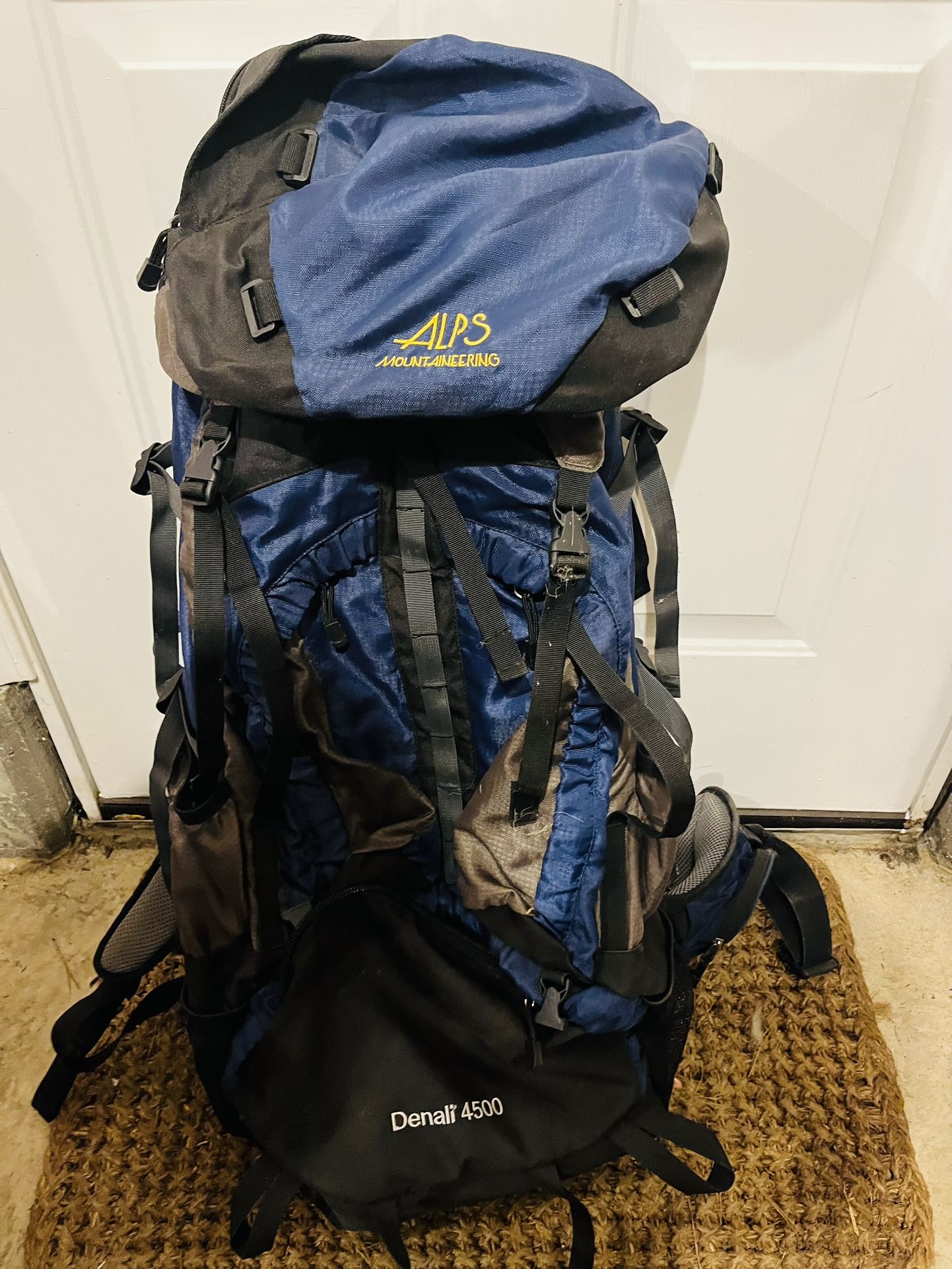 Denali 4500 Mountaineering Pack