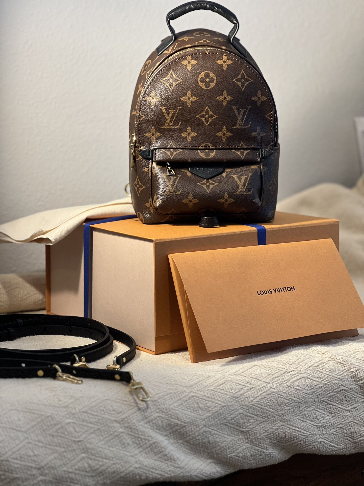 Brand New Palm Springs Mini  Louis Vuitton