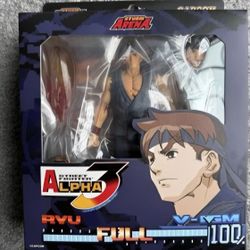 Ken And Ryu Storm Arena 