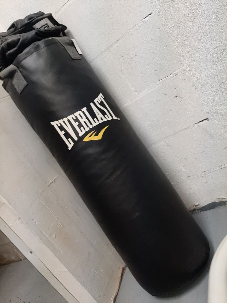 Everlast Punching bag and gloves