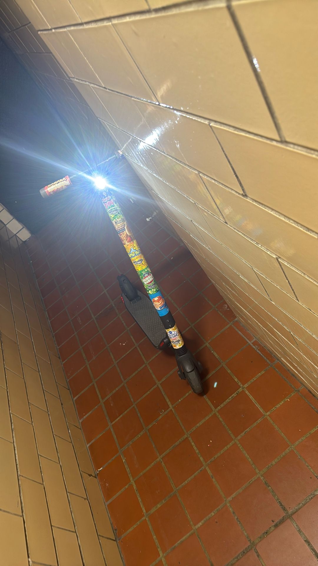 Electric Nine Bot Segway Scooter