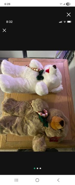 Bears gift