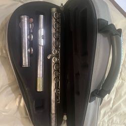 Flute with carrying case