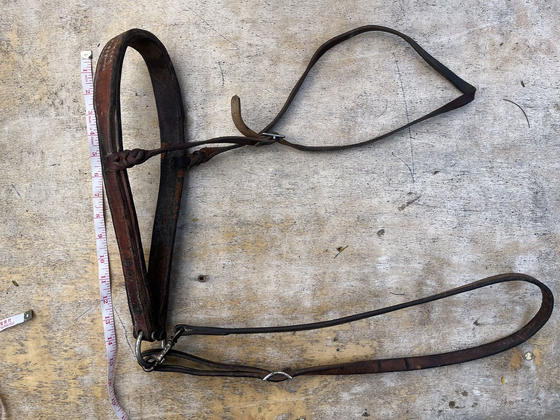 Horse Bridle