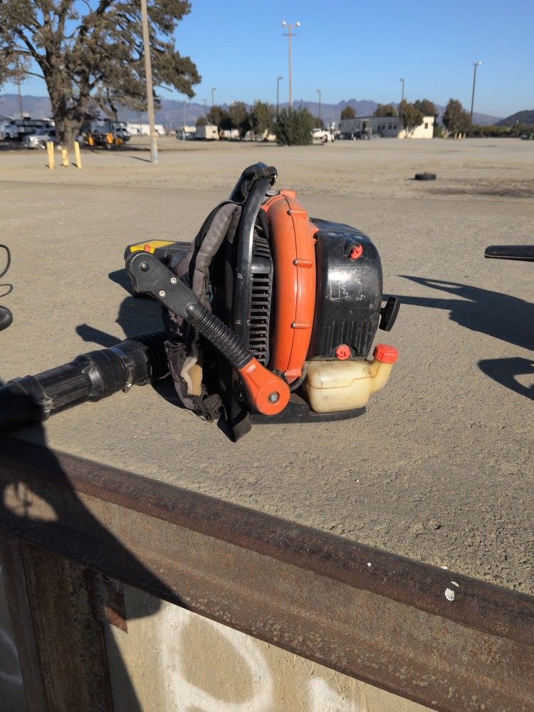 Echo Blower 