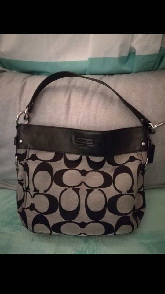 Small Zoe Coach Hobo Bag