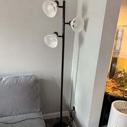 Standing Lamp 