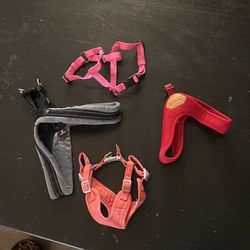Dog Harness