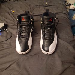 Air Jordan 12s 