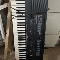 Black, About 48 Inches Long