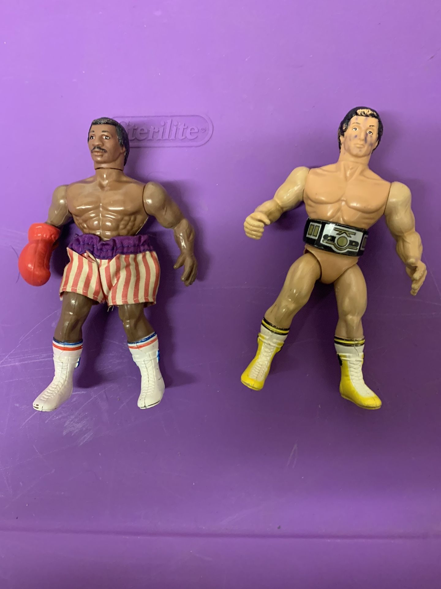 Rocky And Apollo