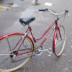 Bicycle In Stock 