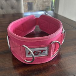 HGT Weight Belt XS