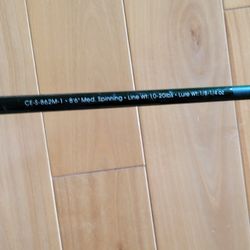 salmon fishing pole / reel