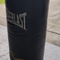 Everlast exercise Punching Bag