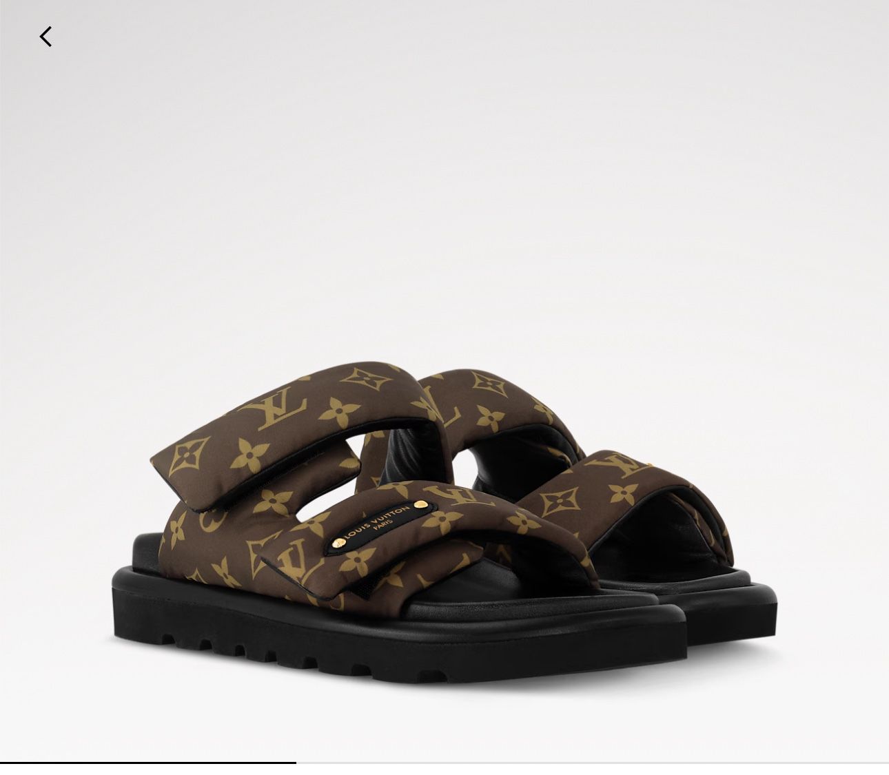 Pool Pillow Flat Comfort Mule Louis Vuitton Slide 