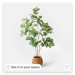 Artificial Pterocarpus Leaf Tree - Threshold™ designed with Studio McGee: Indoor Faux Plant