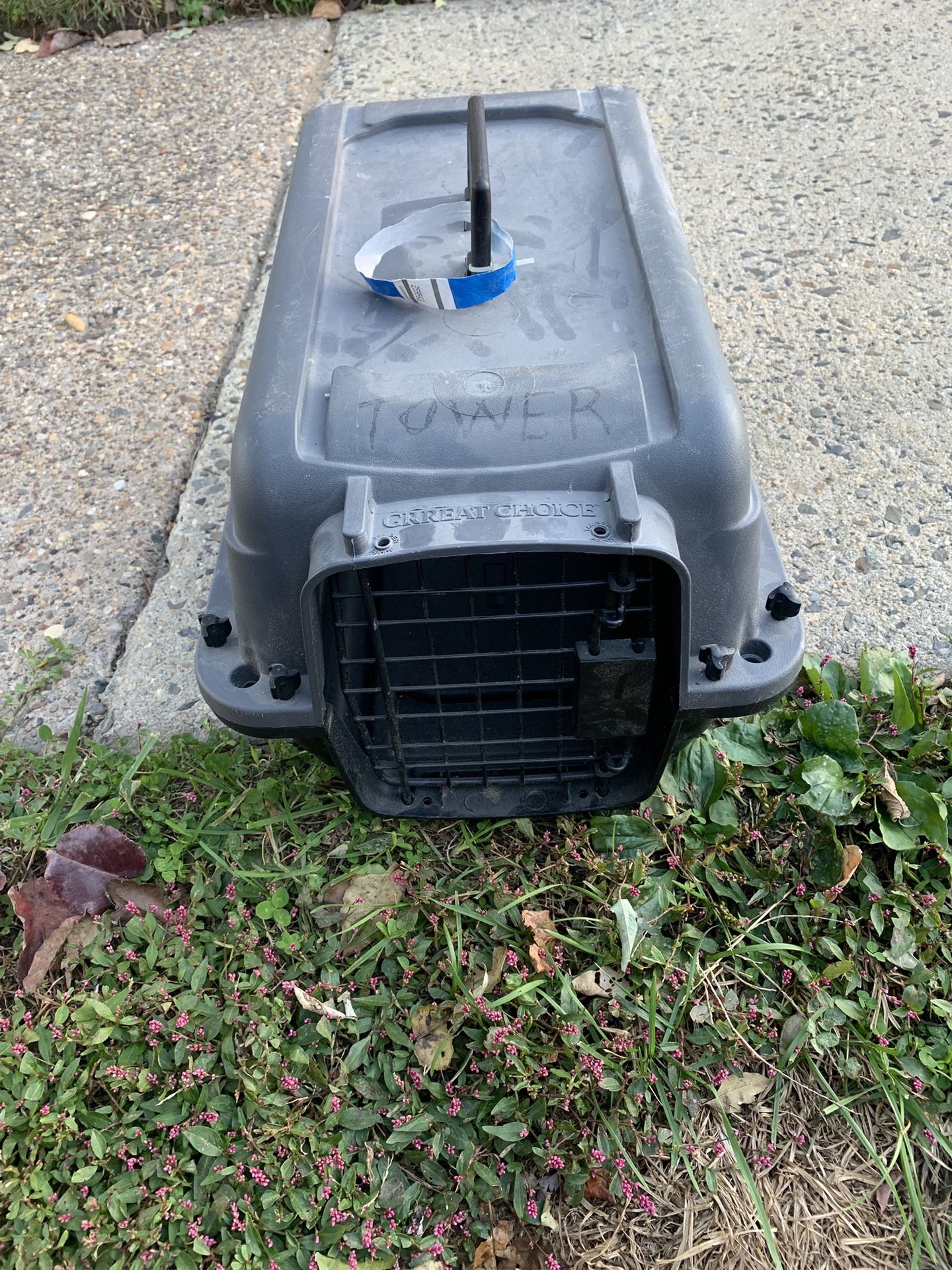 Good Hard Sided Small Toy Dog— Puppy Or Cat-kitten Carrier