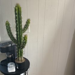 Cactus Fake Plant 