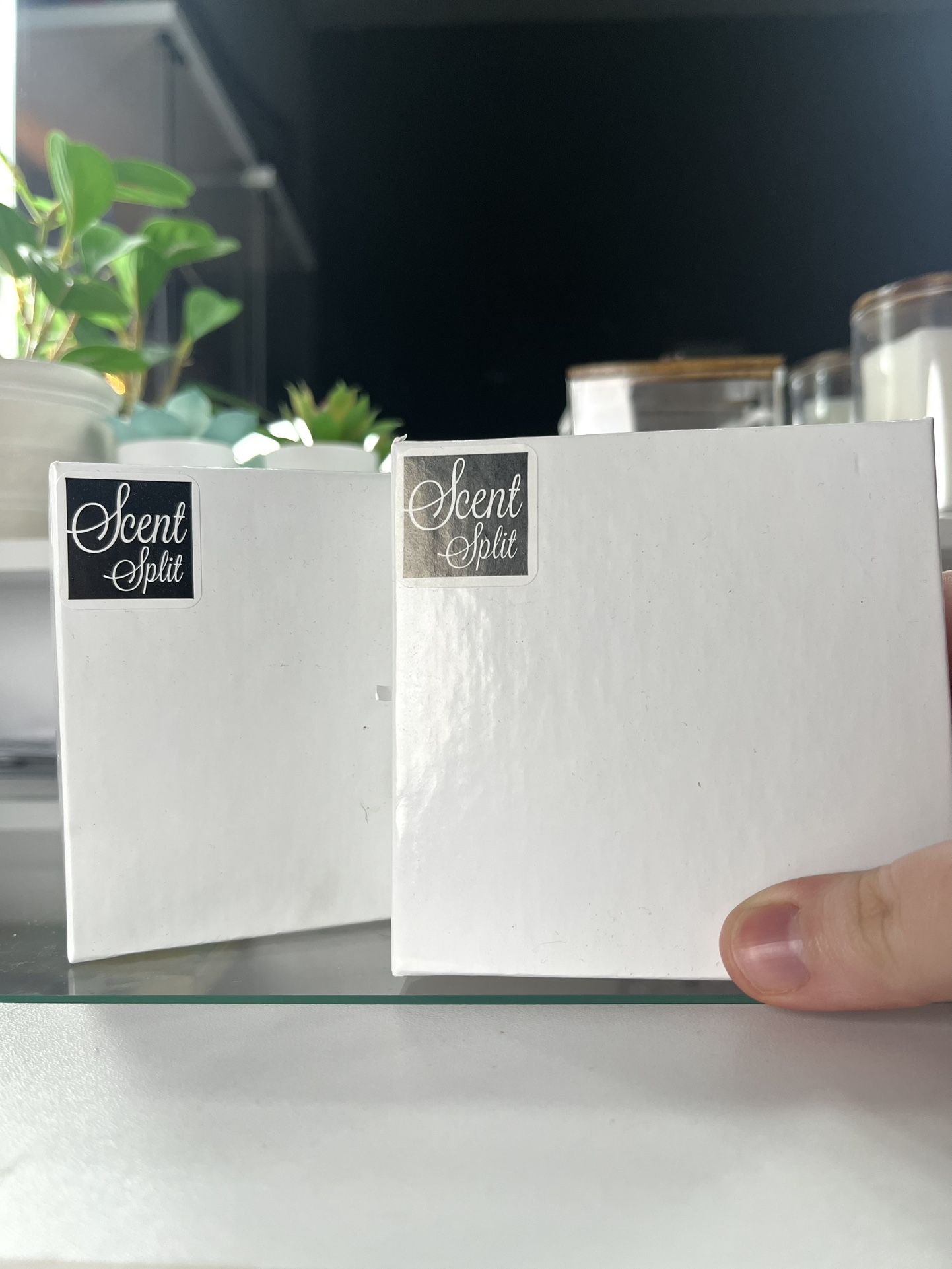 14 Perfume Samples From Scent Split