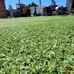 CHEAP ASTRO TURF!