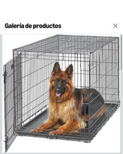 Jaula para perros XL