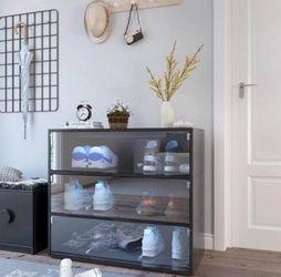 Black Glass Door Shoe Box Storage Cabinet, 3 Shelves