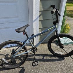Redline Rival BMX Bike