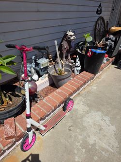 Big scooter