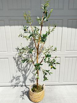 6 Ft Artificial Olive Tree with Basket – Faux Olive Tree