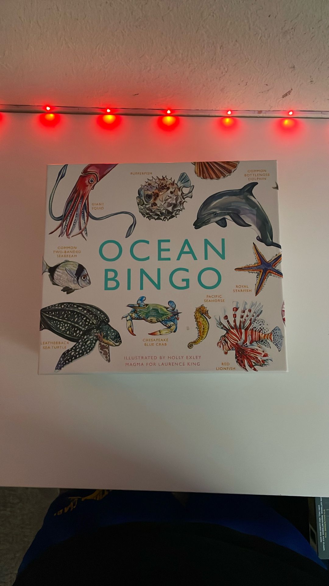 ocean bingo