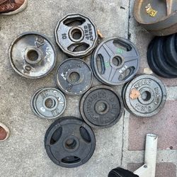 5LB And 10LB Olympic Plates Weight 