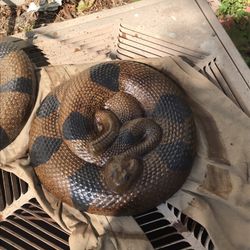 Realistic Brand New Solid Hard Concrete Rattlesnake 