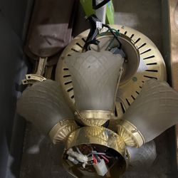 Ceiling Fan 