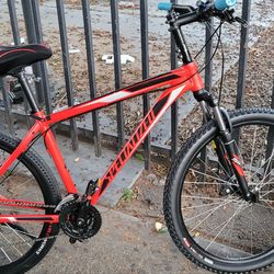 Specialized Custom Mtn Bike (L) 28inch