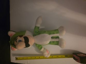 Super Mario Cat Luigi