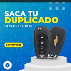Duplicado 