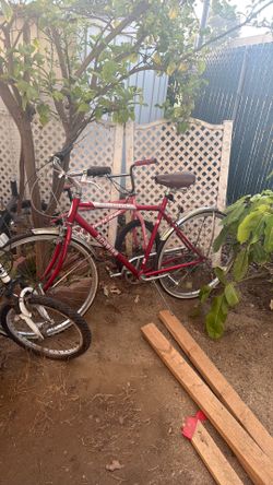 Schwinn Collegiate Red Line Vintage Bicycle