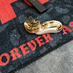 Snakes Come Get Them Tonight Plz I Don’t Wanna See Them 