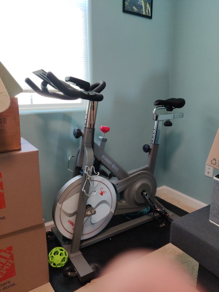 Sunny Exercise Bike