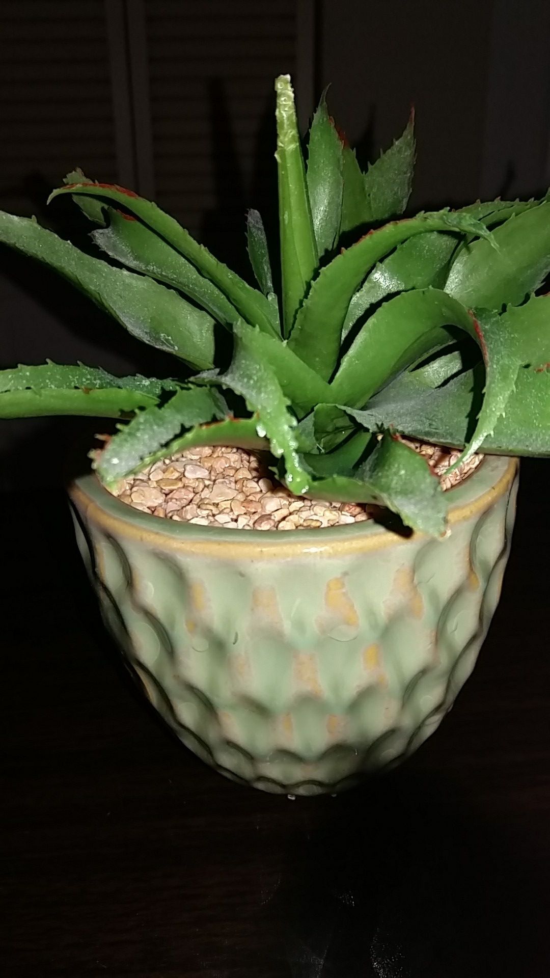 Plastic plant