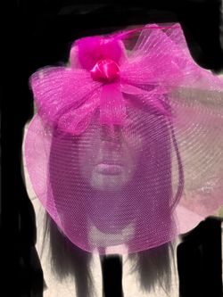 Elegant Fastenator Hat