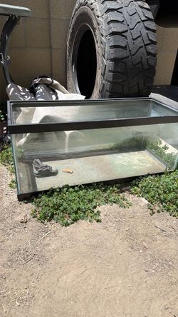 20 gallon fish tank