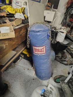 Everlast Heavy Punching Bag with Chains