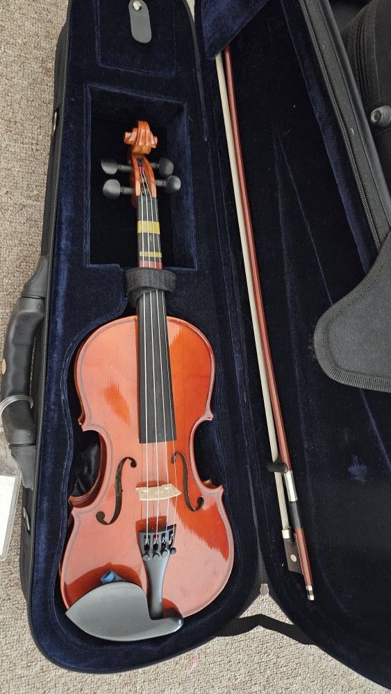 Violins