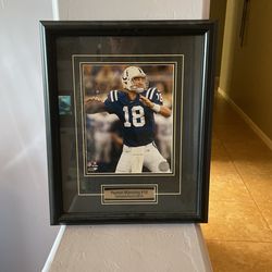 Peyton Manning #18 NFL Photo Color Indianapolis Colts 