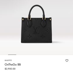 LV bag 