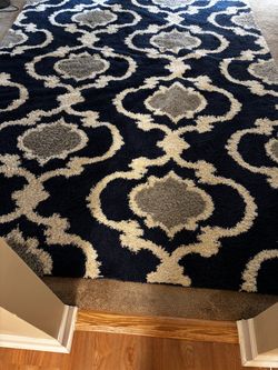 Large Area rug 12 x 10