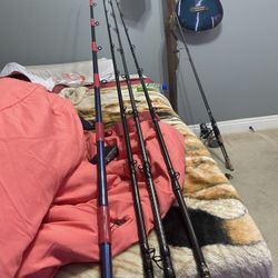 Fishing Rod Lot